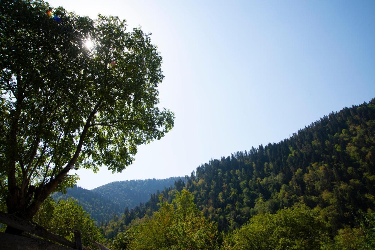 Landhaus Borjomi Luaran gambar