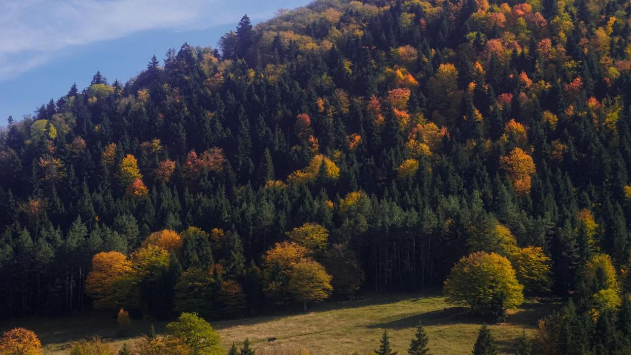 Landhaus Borjomi Luaran gambar