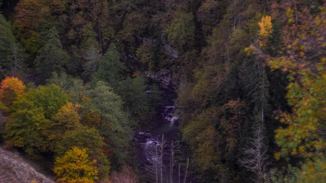 Landhaus Borjomi Luaran gambar