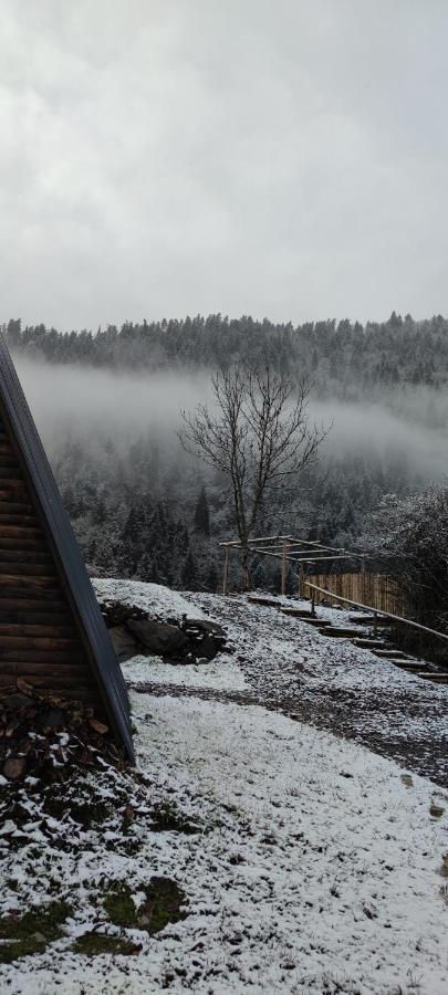 Landhaus Borjomi Luaran gambar