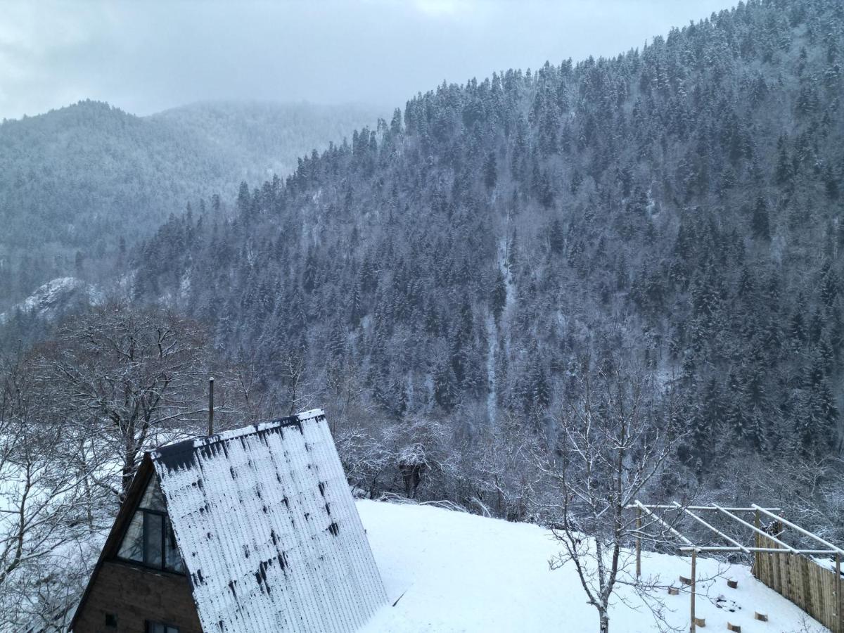 Landhaus Borjomi Luaran gambar